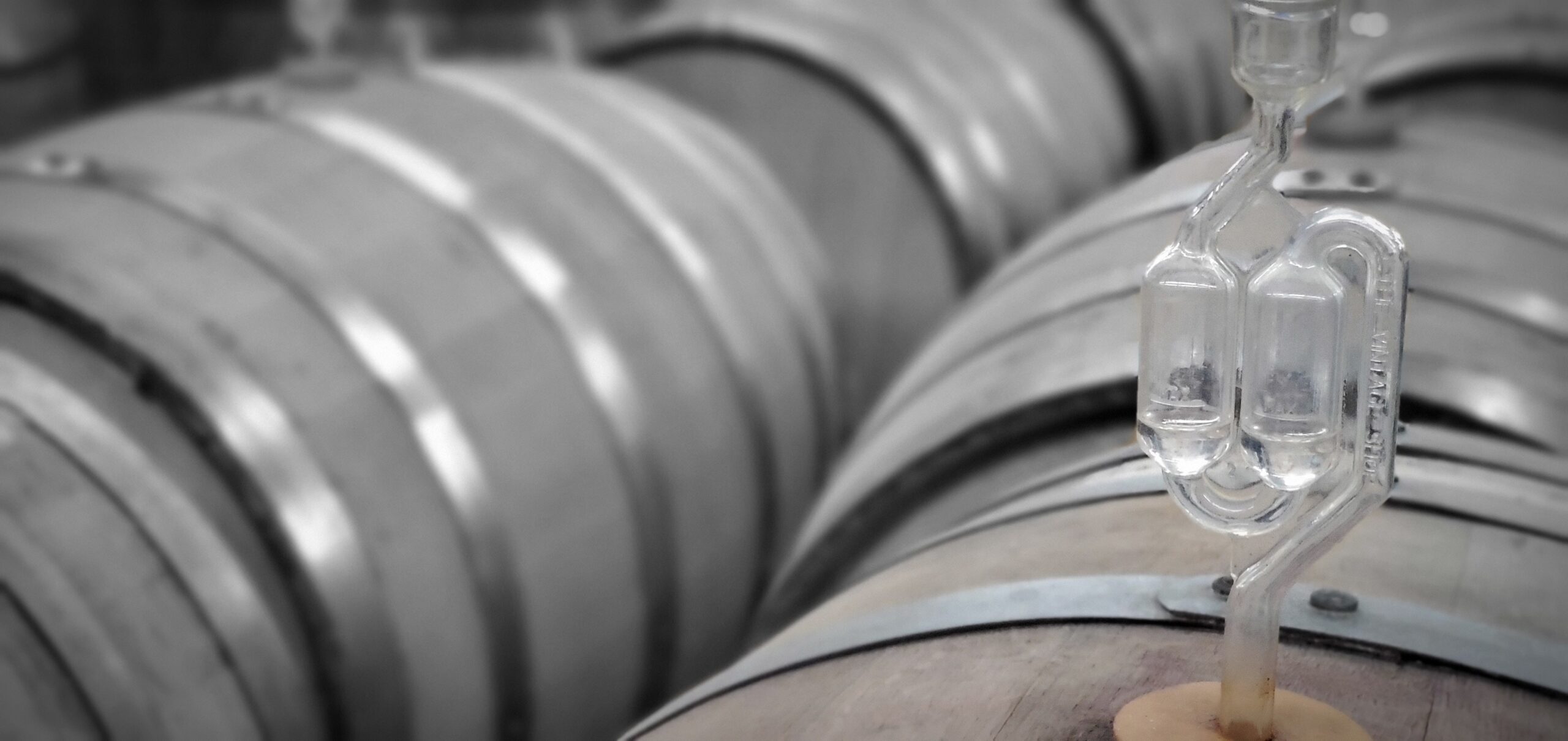 Westchester Barrels Wine Fermentation